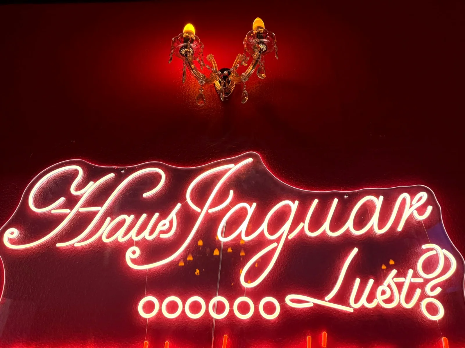 Haus Jaguar – Bild 4